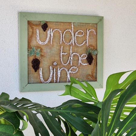 Апартаменты Under The Vine Garden House Platanion Экстерьер фото